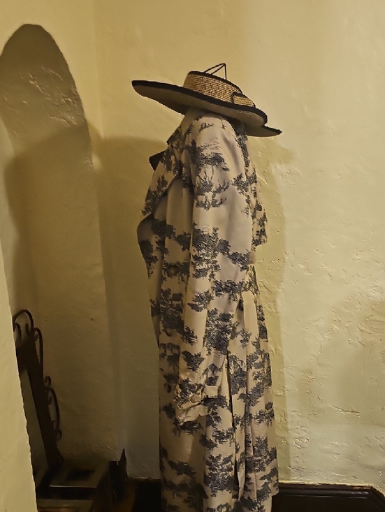 Womens Beige Trench Coat with Blue Toile Print - Picture 3 of 4